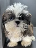 processed/82f1eccb-1b49-4800-a138-e407c753f581/listing/9e689072-cd0a-4343-b7cf-d264a4266d9f/1d42239b-2496-492d-b1ed-f689ebd2b207