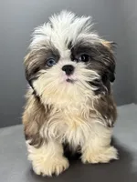 processed/82f1eccb-1b49-4800-a138-e407c753f581/listing/9e689072-cd0a-4343-b7cf-d264a4266d9f/1ffe5c50-2280-4ed9-ad93-ee03fcc6eee7