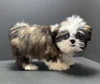 processed/82f1eccb-1b49-4800-a138-e407c753f581/listing/9e689072-cd0a-4343-b7cf-d264a4266d9f/6fadc9b6-242c-4e36-b2df-ed4507f4bf75