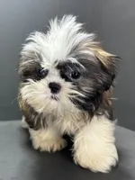 processed/82f1eccb-1b49-4800-a138-e407c753f581/listing/9e689072-cd0a-4343-b7cf-d264a4266d9f/8b17dd56-2a88-432c-bd00-408956a2d34f