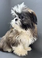 processed/82f1eccb-1b49-4800-a138-e407c753f581/listing/9e689072-cd0a-4343-b7cf-d264a4266d9f/959e79f1-cdc6-44cc-841a-3a16adaece26