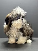 processed/82f1eccb-1b49-4800-a138-e407c753f581/listing/9e689072-cd0a-4343-b7cf-d264a4266d9f/a856158e-9019-4cf3-aee7-82b795a51a42