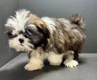 processed/82f1eccb-1b49-4800-a138-e407c753f581/listing/9e689072-cd0a-4343-b7cf-d264a4266d9f/dd4d4f27-b89a-48c5-b0b0-0301af364a2c