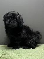 processed/82f1eccb-1b49-4800-a138-e407c753f581/listing/ca9f91bd-4759-49fe-acba-d7702f75a6ba/17277fda-8c6c-4ac9-8968-62b84dcc725d