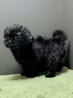 processed/82f1eccb-1b49-4800-a138-e407c753f581/listing/ca9f91bd-4759-49fe-acba-d7702f75a6ba/3bf8d391-fe96-41d6-a9e1-56b9c07d8a34