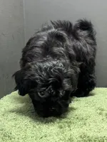 processed/82f1eccb-1b49-4800-a138-e407c753f581/listing/ca9f91bd-4759-49fe-acba-d7702f75a6ba/cf7c00b2-88d2-4fcc-9ed0-0b4f4bf999bc