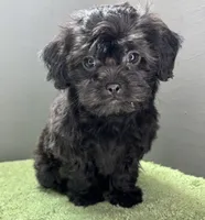 processed/82f1eccb-1b49-4800-a138-e407c753f581/listing/ca9f91bd-4759-49fe-acba-d7702f75a6ba/dbb8fc1e-1026-46eb-adfd-545a2e3101df