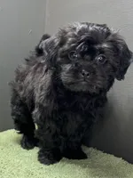 processed/82f1eccb-1b49-4800-a138-e407c753f581/listing/ca9f91bd-4759-49fe-acba-d7702f75a6ba/e89458e2-a951-4a90-8d46-ab3ccaf17ace