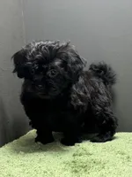 processed/82f1eccb-1b49-4800-a138-e407c753f581/listing/ca9f91bd-4759-49fe-acba-d7702f75a6ba/f55247a4-623c-4274-87cb-caf269d071dd