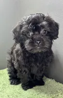 processed/82f1eccb-1b49-4800-a138-e407c753f581/listing/ca9f91bd-4759-49fe-acba-d7702f75a6ba/f665641a-2113-49cb-8af1-25a52d697609