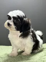 processed/82f1eccb-1b49-4800-a138-e407c753f581/listing/e21733f2-156b-46cf-b4f7-7ab4f4333b9b/060f5d6b-7dcc-4693-990e-4965cd32f3d7