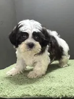 processed/82f1eccb-1b49-4800-a138-e407c753f581/listing/e21733f2-156b-46cf-b4f7-7ab4f4333b9b/23d7bac0-b840-4580-80f0-e4d8e9690c66