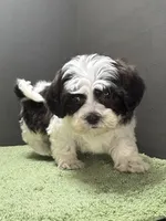 processed/82f1eccb-1b49-4800-a138-e407c753f581/listing/e21733f2-156b-46cf-b4f7-7ab4f4333b9b/6cc55e2c-1b97-4a64-882f-fbb934910b0a