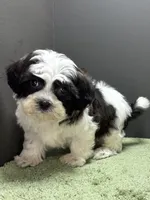 processed/82f1eccb-1b49-4800-a138-e407c753f581/listing/e21733f2-156b-46cf-b4f7-7ab4f4333b9b/7bf54a57-f0f4-49bb-b5de-fa3ff6c7d079