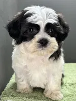 processed/82f1eccb-1b49-4800-a138-e407c753f581/listing/e21733f2-156b-46cf-b4f7-7ab4f4333b9b/9ffa3d8b-20e6-400b-be11-48068078bf1b