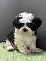 processed/82f1eccb-1b49-4800-a138-e407c753f581/listing/e21733f2-156b-46cf-b4f7-7ab4f4333b9b/a0a4713f-a382-4384-997e-445a9e004a09