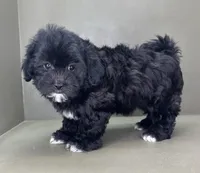 processed/82f1eccb-1b49-4800-a138-e407c753f581/listing/e26bf3d0-8b52-4ff6-8b09-585f4e387e34/8174558d-6fd5-42e7-b4f2-31bee45873e0