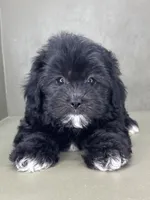 processed/82f1eccb-1b49-4800-a138-e407c753f581/listing/e26bf3d0-8b52-4ff6-8b09-585f4e387e34/95470103-a3c0-4f9f-861e-a5ca196525cc