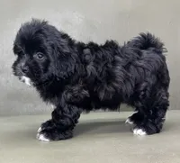 processed/82f1eccb-1b49-4800-a138-e407c753f581/listing/e26bf3d0-8b52-4ff6-8b09-585f4e387e34/b4138472-dc89-41ea-b6ae-3176f50282e5