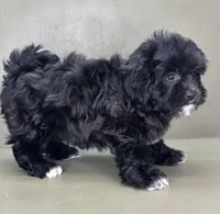 processed/82f1eccb-1b49-4800-a138-e407c753f581/listing/e26bf3d0-8b52-4ff6-8b09-585f4e387e34/bc7d8100-ac6d-4528-960f-86ad0a2e4d48