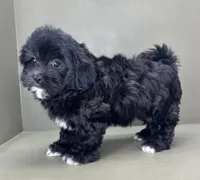 processed/82f1eccb-1b49-4800-a138-e407c753f581/listing/e26bf3d0-8b52-4ff6-8b09-585f4e387e34/c353d3f7-fa28-489e-9592-be0749372828