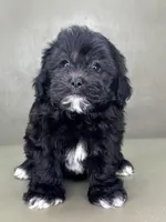 processed/82f1eccb-1b49-4800-a138-e407c753f581/listing/e26bf3d0-8b52-4ff6-8b09-585f4e387e34/e8b8d55b-839b-4fd3-b5f8-41e5e3f596cf