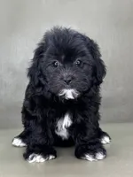 processed/82f1eccb-1b49-4800-a138-e407c753f581/listing/e26bf3d0-8b52-4ff6-8b09-585f4e387e34/ed7c2562-3c39-428a-bf66-26ba6c2effe6