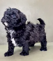 processed/82f1eccb-1b49-4800-a138-e407c753f581/listing/fe140a00-5bb4-46c2-bce3-83d16c8e8f9b/06273fb4-15d5-442a-873b-ff7450bd4eb4