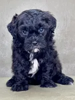 processed/82f1eccb-1b49-4800-a138-e407c753f581/listing/fe140a00-5bb4-46c2-bce3-83d16c8e8f9b/1270c5fd-8e21-49c1-9cb8-9517cec5111b