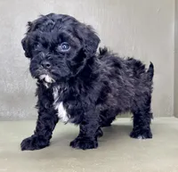 processed/82f1eccb-1b49-4800-a138-e407c753f581/listing/fe140a00-5bb4-46c2-bce3-83d16c8e8f9b/26e0954f-3012-4b96-80b4-94fad17dbef8