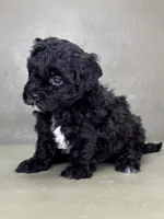 processed/82f1eccb-1b49-4800-a138-e407c753f581/listing/fe140a00-5bb4-46c2-bce3-83d16c8e8f9b/61be5f4c-7c28-413b-92bb-869b456490c2