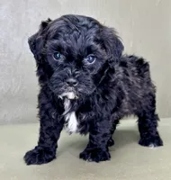 processed/82f1eccb-1b49-4800-a138-e407c753f581/listing/fe140a00-5bb4-46c2-bce3-83d16c8e8f9b/671e5e13-62e9-4c38-86da-362ace8e7518