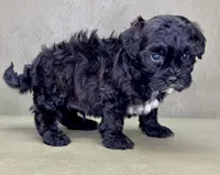 processed/82f1eccb-1b49-4800-a138-e407c753f581/listing/fe140a00-5bb4-46c2-bce3-83d16c8e8f9b/90e8159a-8886-4b7a-a9e7-cac3754f6928