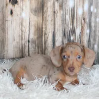 processed/82f96274-adb7-4e11-854b-fe0c3bcbf0f2/listing/c677b7a9-23af-49d7-977b-62bab25953d2/50458afb-15b7-4513-8a58-fd77b687b2ff