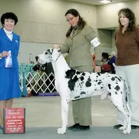 processed/82fa7fb2-662e-4f60-afb2-ccd82a9c4226/facility/2d38d42a-1750-4f75-82ca-1539e88c6ab9