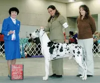 processed/82fa7fb2-662e-4f60-afb2-ccd82a9c4226/facility/2d38d42a-1750-4f75-82ca-1539e88c6ab9