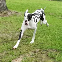 processed/82fa7fb2-662e-4f60-afb2-ccd82a9c4226/facility/5d7d551d-8515-4064-831b-089e8138ab84