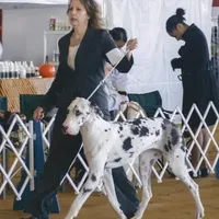 processed/82fa7fb2-662e-4f60-afb2-ccd82a9c4226/facility/86e28adc-3b8e-4f92-b99e-b657d23cf935