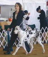 processed/82fa7fb2-662e-4f60-afb2-ccd82a9c4226/facility/86e28adc-3b8e-4f92-b99e-b657d23cf935