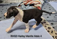 processed/82fa7fb2-662e-4f60-afb2-ccd82a9c4226/listing/3a6bc84a-5b59-4776-bf43-1d1efce9413d/2956aa88-7ea7-4ddb-a8eb-19e0f6605d31