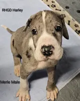 processed/82fa7fb2-662e-4f60-afb2-ccd82a9c4226/listing/734bfbbd-e55c-46a1-ab47-aa1b6873087f/af9c35c4-c372-4b71-9fe9-935fde28c100