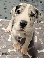 processed/82fa7fb2-662e-4f60-afb2-ccd82a9c4226/listing/a2e672c1-6c6e-4253-8f18-bfd90bee9b2e/0ec808f1-5e7a-4a88-a005-8ae3daf845f6