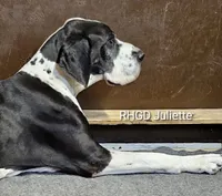 processed/82fa7fb2-662e-4f60-afb2-ccd82a9c4226/listing/a2e672c1-6c6e-4253-8f18-bfd90bee9b2e/29a57ecd-4317-4676-9239-f17d7127c83a