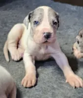 processed/82fa7fb2-662e-4f60-afb2-ccd82a9c4226/listing/a2e672c1-6c6e-4253-8f18-bfd90bee9b2e/3ab99259-09ec-47d8-a92b-1f563d8ea548