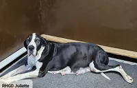 processed/82fa7fb2-662e-4f60-afb2-ccd82a9c4226/listing/a2e672c1-6c6e-4253-8f18-bfd90bee9b2e/b5b54357-3ab5-47f1-b053-52b1662f8994