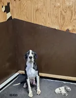 processed/82fa7fb2-662e-4f60-afb2-ccd82a9c4226/listing/a2e672c1-6c6e-4253-8f18-bfd90bee9b2e/c3c5242e-b605-491f-a39a-89e260a2e4ea