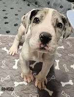 processed/82fa7fb2-662e-4f60-afb2-ccd82a9c4226/listing/a2e672c1-6c6e-4253-8f18-bfd90bee9b2e/db40550e-2966-4ca8-b0a0-eb7b4f6fb2cd