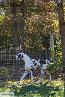 processed/82fa7fb2-662e-4f60-afb2-ccd82a9c4226/listing/ac06ea38-0178-4e7a-b755-1684b0d9988a/37a10899-dba8-41fe-a2cc-6dff8e564d45