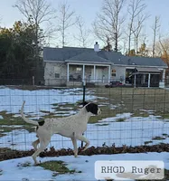 processed/82fa7fb2-662e-4f60-afb2-ccd82a9c4226/listing/ac06ea38-0178-4e7a-b755-1684b0d9988a/54bde411-1a26-471e-bdac-429ae7d8169b