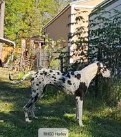 processed/82fa7fb2-662e-4f60-afb2-ccd82a9c4226/listing/ac06ea38-0178-4e7a-b755-1684b0d9988a/6e298fbf-c283-4641-bf3a-d41c657f1f05